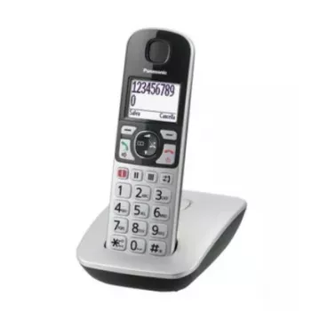 DECT telephone Panasonic KX-TGE510GS