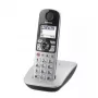 DECT telephone Panasonic KX-TGE510GS