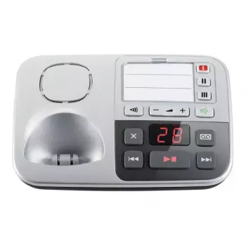 DECT telephone Panasonic KX-TGE520GS