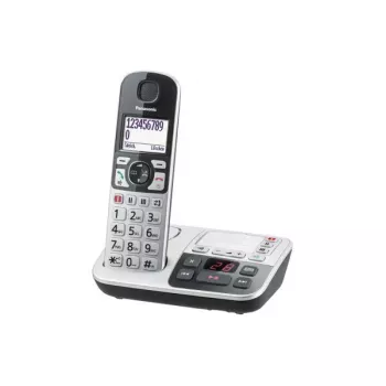 DECT telephone Panasonic KX-TGE520GS