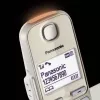 DECT telephone Panasonic KX-TGE262GN Wireless handset Caller ID