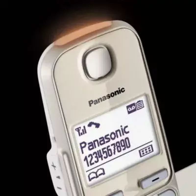 DECT telephone Panasonic KX-TGE262GN Wireless handset Caller ID