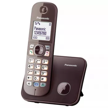 DECT telephone Panasonic KX-TG6811GA