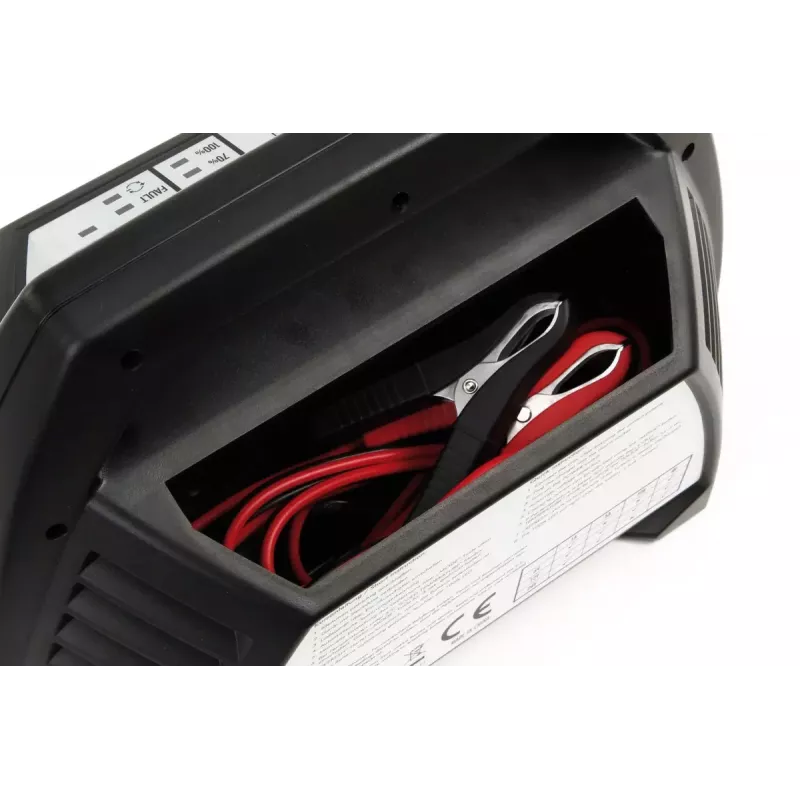 Charger Ansmann ALCT6-24/10 6/12/24 V Black
