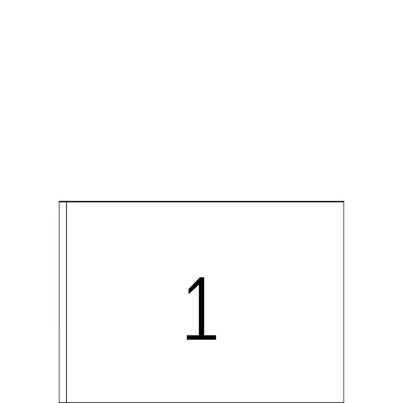 Address labels Premium HERMA A5 148.5x205 mm 400 pcs