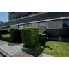 Metabo HS 18 LTX BL 75 Cordless Hedge Trimmer 75 cm Brushless 18 V Body Only