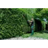 Metabo HS 18 LTX BL 75 Cordless Hedge Trimmer 75 cm Brushless 18 V Body Only