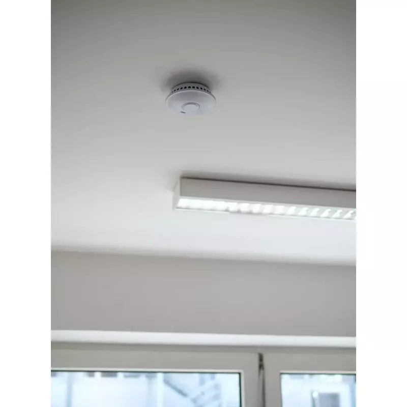 Carbon monoxide detector Brennenstuhl RM L 3101 Wireless Battery Powered