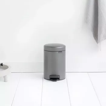 Trash Can Brabantia 113246 3 L Round Platinum
