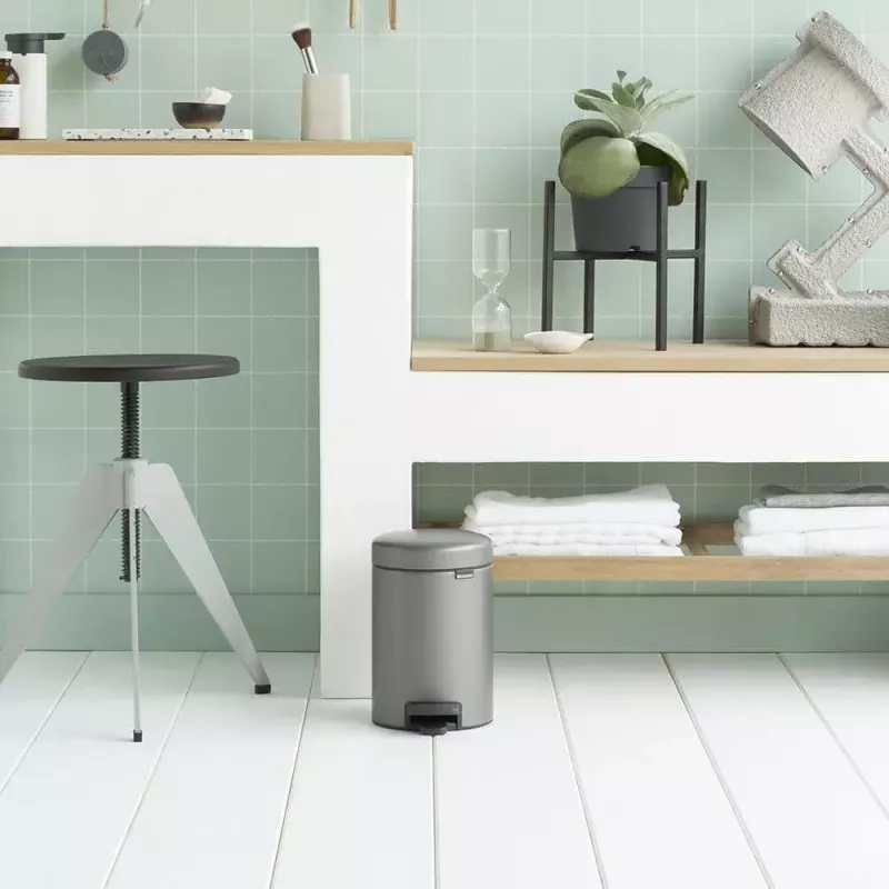 Trash Can Brabantia 113246 3 L Round Platinum
