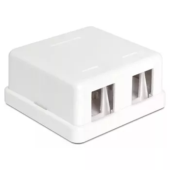 Wire Connector DeLOCK 86207 2x Keystone White