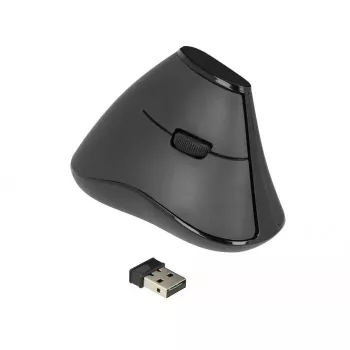 Mouse Office DeLOCK 12622 Right-hand RF Wireless Optical 1000 DPI