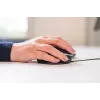 Wireless Mouse BakkerElkhuizen Oyster Mouse