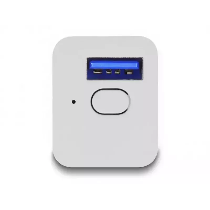 Smart Plug DeLOCK 11828 Indoor Wi-Fi 2A White