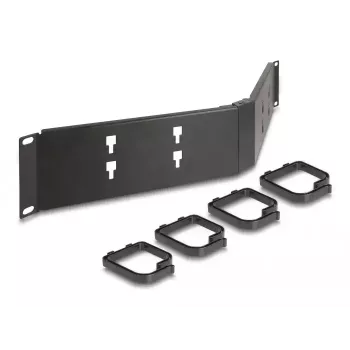 Cable management panel DeLOCK 19 inch 66978 2U angled black
