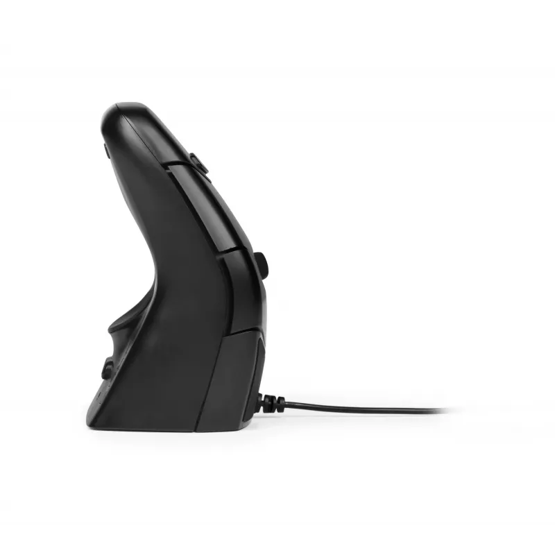 BakkerElkhuizen DXT 3 mouse wireless, Ambidextrous, Optical, RF Wireless, 2400 DPI, Black