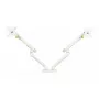 Desk BakkerElkhuizen BE Flexible Dual 88.9 cm White Clamp Mount 20 kg