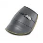 BakkerElkhuizen FastForward mouse, Right-hand, Vertical design, Optical, RF Wireless + Bluetooth + USB Type-C, 500 DPI, Grey