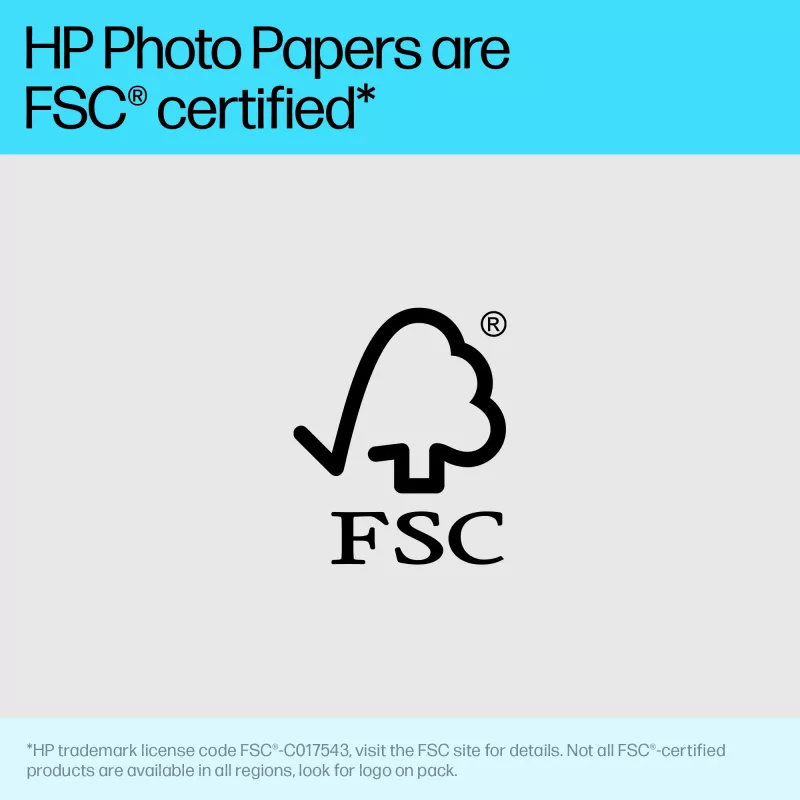 HP Advanced Photo Paper Glossy 65 lb 4 x 12 in. (101 x 305 mm) 10 sheets