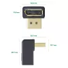 InLine DisplayPort Adaptor, DisplayPort male / female downward angled
