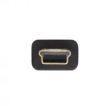 InLine USB 2.0 Flat Cable USB Type A male / Mini-B male 5pin black/gold 2m