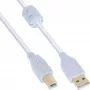 InLine USB 2.0 Cable Type A male / B male, gold plated, w/ferrite, white, 0.5m