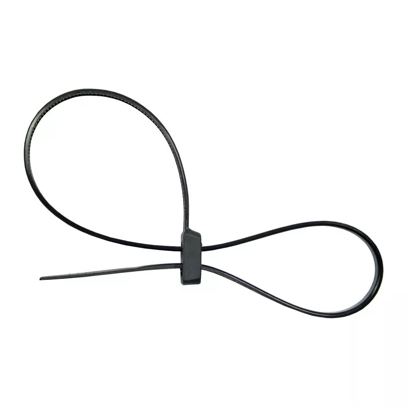 Cable ties InLine mountable double-head 300 mm x 4.8 mm, nylon, black, 100 pcs