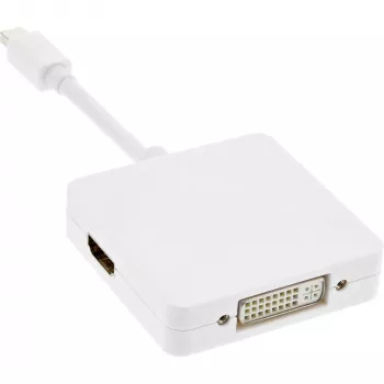 InLine Mini DisplayPort to HDMI DVI DisplayPort Adapter Cable 17195I
