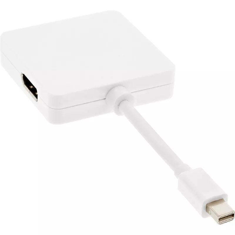 InLine Mini DisplayPort to HDMI DVI DisplayPort Adapter Cable 17195I