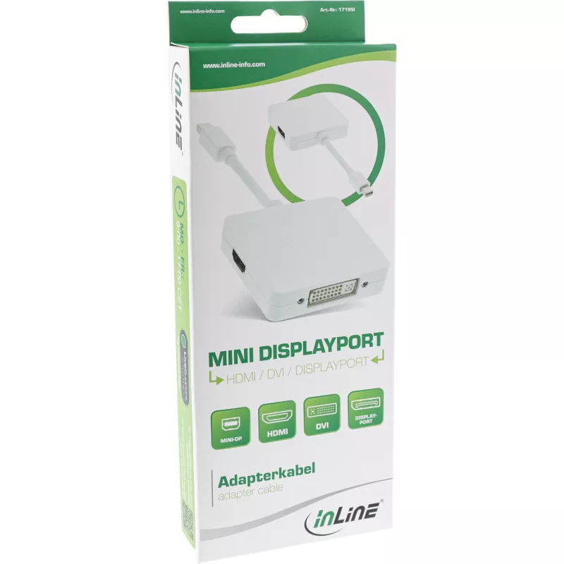 InLine Mini DisplayPort to HDMI DVI DisplayPort Adapter Cable 17195I