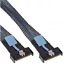 InLine 27661C Serial Attached SCSI (SAS) cable 1 m 24 Gbit/s Black, Blue, Grey