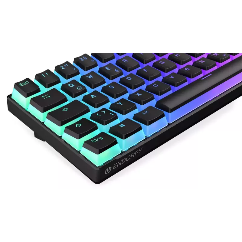 Gaming Keyboard ENDORFY Thock Compact RF Wireless USB QWERTZ 61 Keys RGB LED
