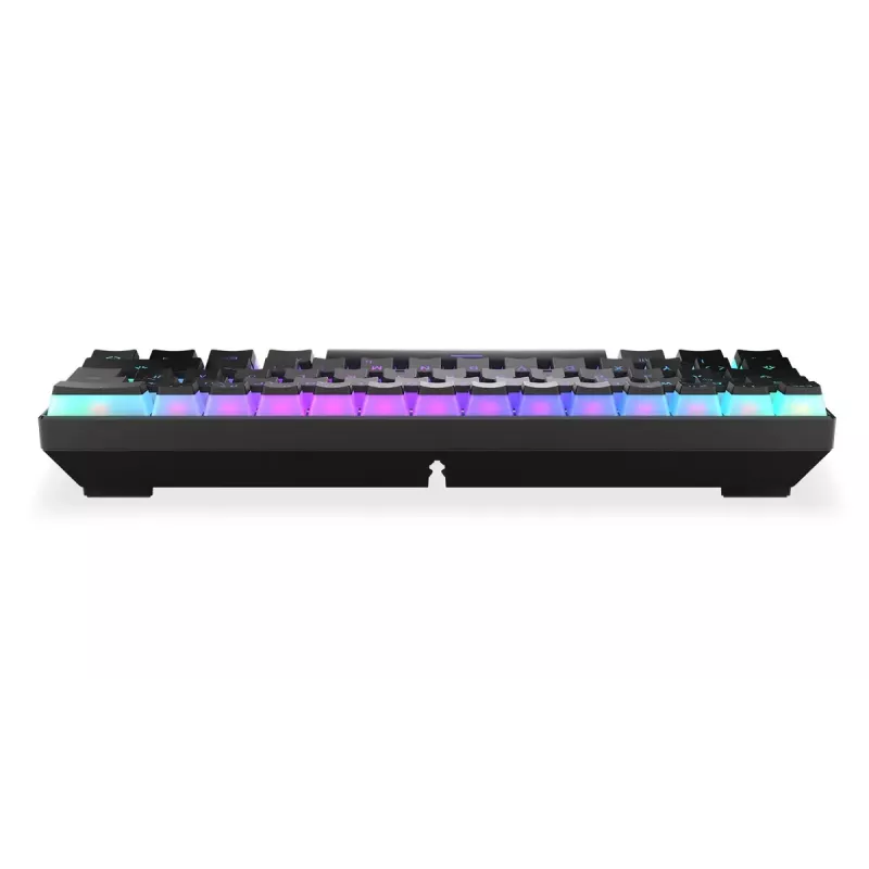 Gaming Keyboard ENDORFY Thock Compact RF Wireless USB QWERTZ 61 Keys RGB LED