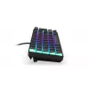 Gaming Keyboard ENDORFY Thock Compact RF Wireless USB QWERTZ 61 Keys RGB LED