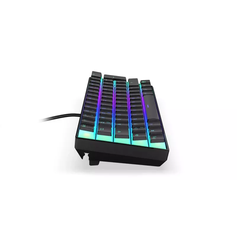 Gaming Keyboard ENDORFY Thock Compact RF Wireless USB QWERTZ 61 Keys RGB LED