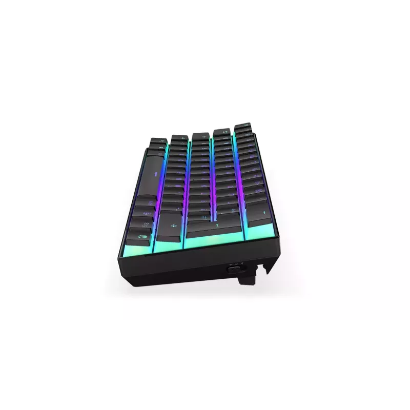 Gaming Keyboard ENDORFY Thock Compact RF Wireless USB QWERTZ 61 Keys RGB LED