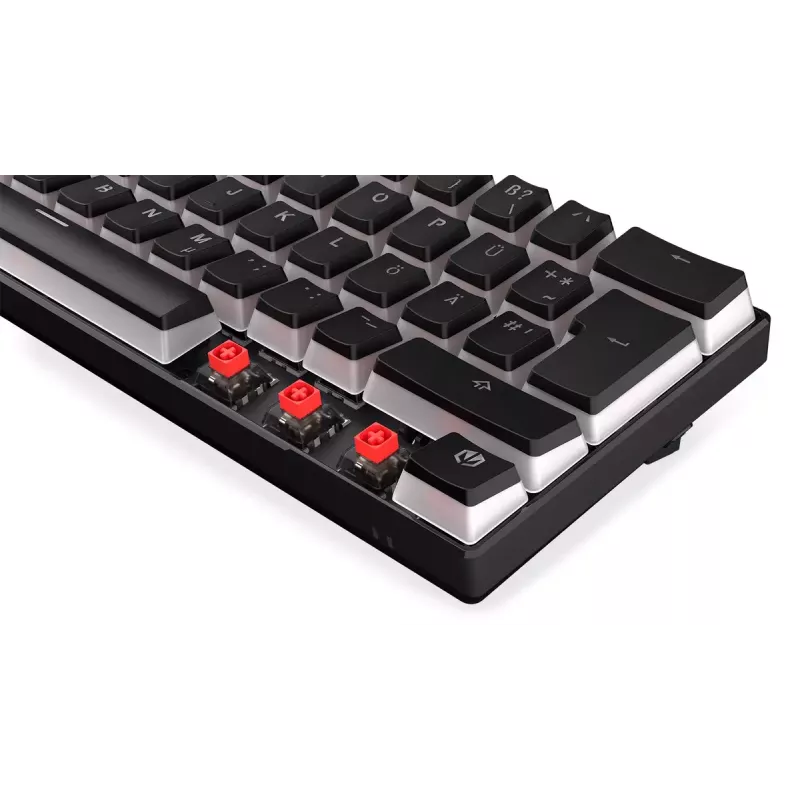 Gaming Keyboard ENDORFY Thock Compact RF Wireless USB QWERTZ 61 Keys RGB LED