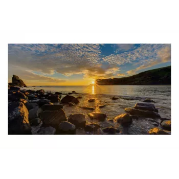 Monitor Samsung IF015R 15 inch LED 640 x 360 pixels