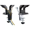 InLine desk mount w/ lift and USB/Audio, 2 monitors up to 81cm (32 inch),black