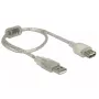 USB Cable DeLOCK 82244 USB 2.0 0.3 m Transparent