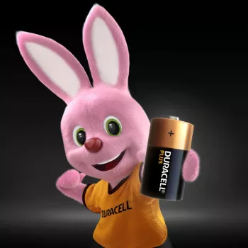 Duracell Plus Single-use battery C Alkaline