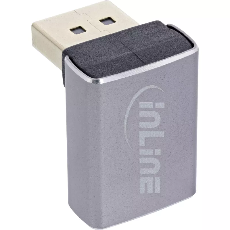 InLine 17291G cable gender changer DisplayPort Grey, Black