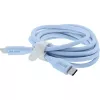 InLine 35891B USB cable USB 2.0 1 m USB C Blue