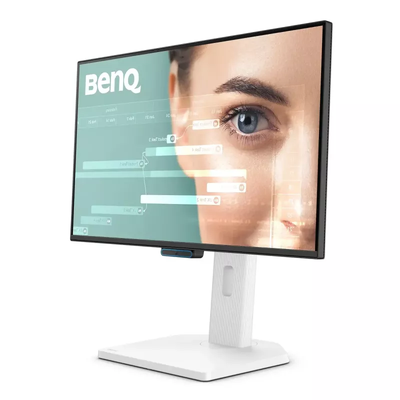 Computer monitor BenQ GW2490TC 24 inch (61 cm) IPS Full HD 1920x1080 LED, 5 ms, 178° viewing, built-in speakers, VESA, black/white