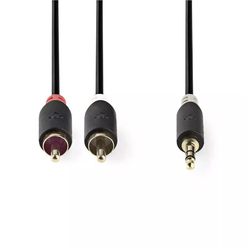 Audio cable Nedis CABW22200AT20 2m 3.5mm 2 x RCA Anthracite
