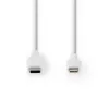 Lightning Cable Nedis CCGW39650WT10 1m White USB C