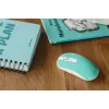 Mouse Canyon CNS-CMSW18A RF Wireless Optical