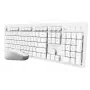 Trust Ody II keyboard Mouse included Home/Office RF Wireless German White