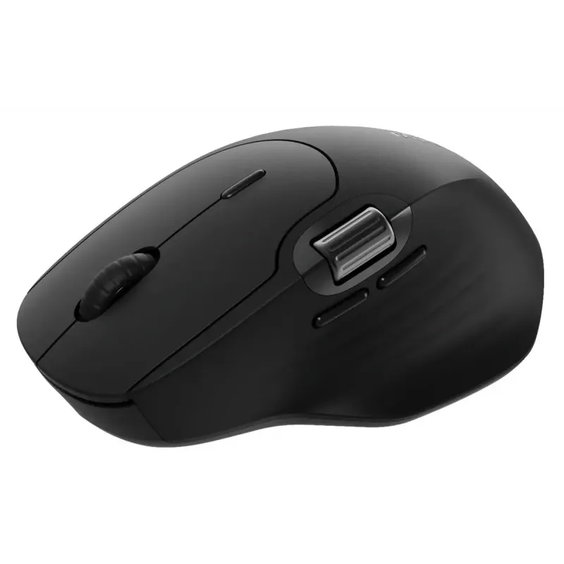 Mouse Rapoo MT560