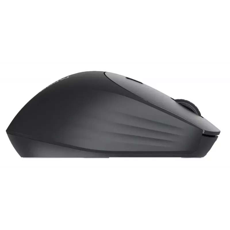 Mouse Rapoo MT560